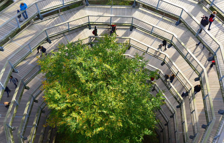 Le mirador du Naturerbe-Zentrum, à Binz, s’élève à 20 mètres au-dessus des arbres.