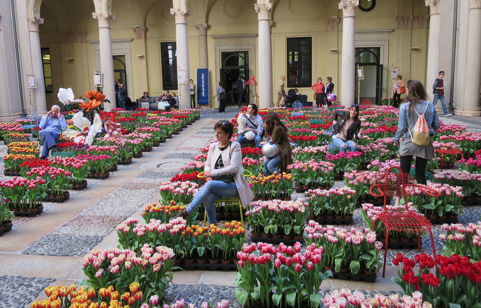 Dans la cour néo-renaissance, un parterre de tulipes hollandaises incitait les visiteurs à faire des selfies, assis...