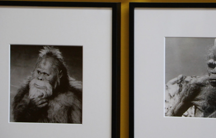 La première partie de l’exposition propose des portraits de monstres en gros plans.