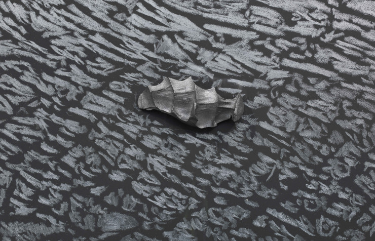 Pugno di graphite-palpebra, 2012 (détail) de Giuseppe Penone.