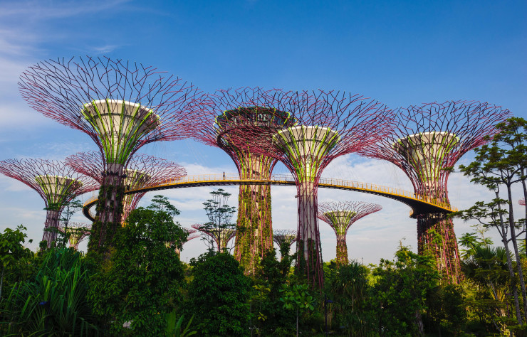 Gardens by the Bay, Singapour.