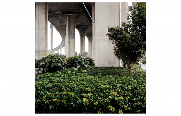 La jungle en liberté s’étend sous le pont autoroutier : le contraste entre le béton brut et la végétation luxuriante.