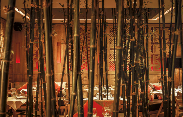 La salle des bambous.