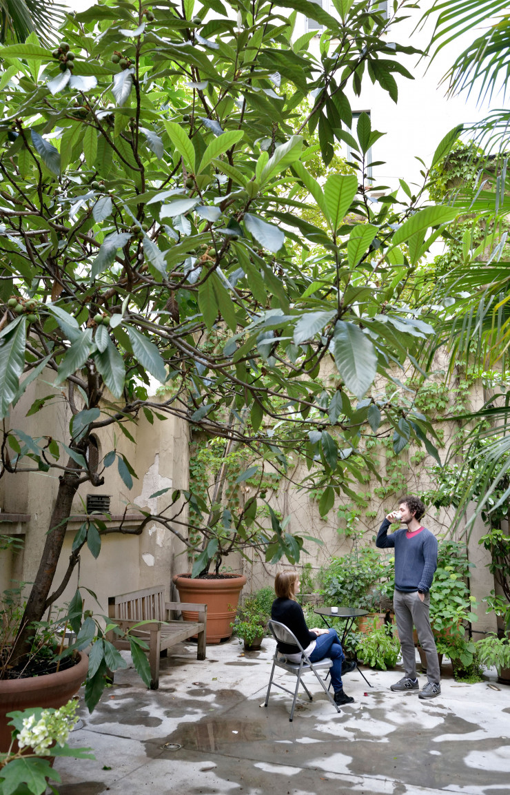 Typique des maisons milanaises du XXe siècle, la cour intérieure, transformée en jardin de détente.