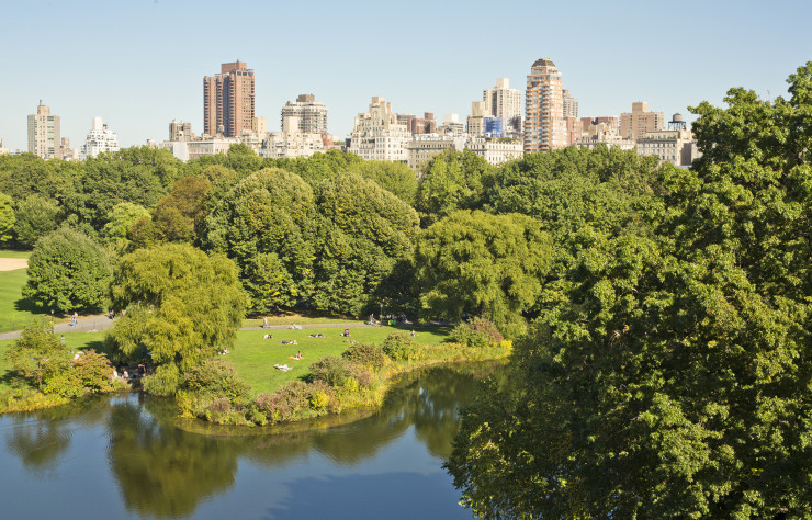 Central Park, poumon vert au cœur de Big Apple.