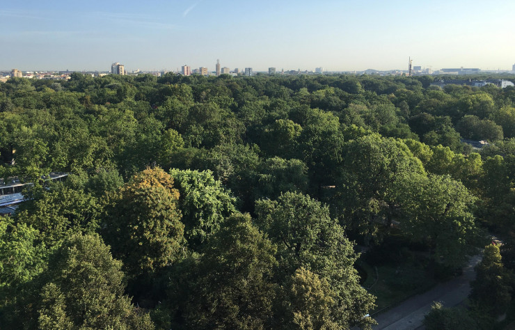 Le Tiergarten, poumon vert de Berlin.