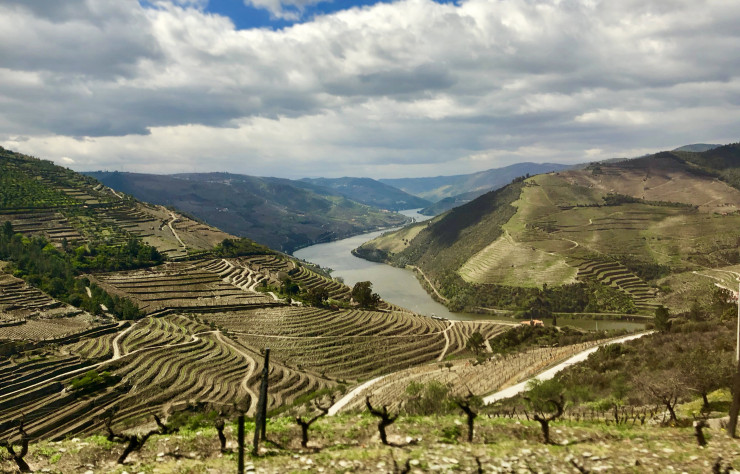 Vue sur les vignes de la vallée du Douro.
