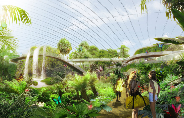 Le projet réunira papillons, oiseaux, reptiles mais aussi un grand nombre de végétaux tropicaux.