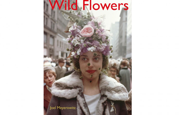 Wild Flowers, de Joel Meyerowitz, en anglais, Damiani, 128p., 50€.