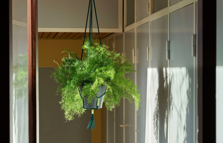 « Phanta Plant Hanger », porte-plante revisité en fils de polyester recyclés.
