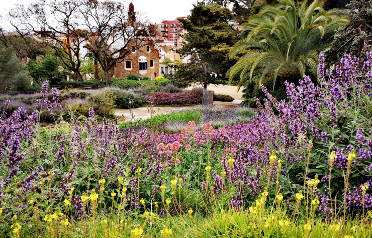 Jardin Austria du parc Güell, conçu par Antoni Gaudi