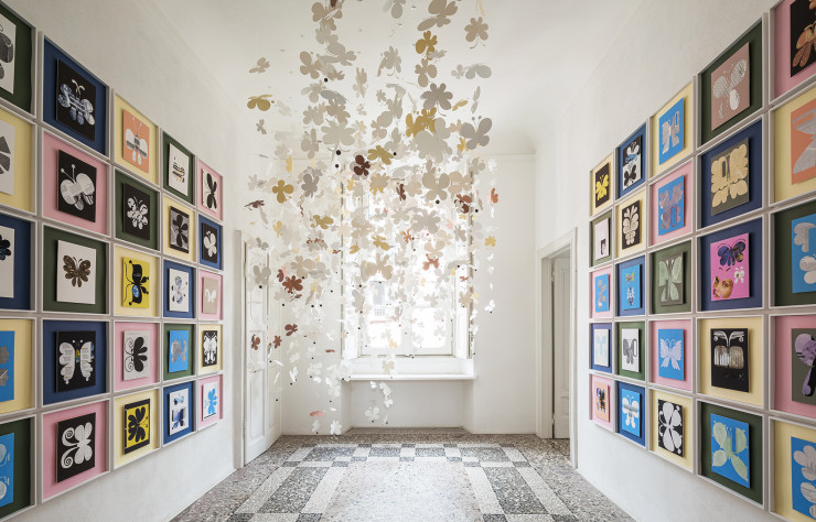 Butterflies of Lucia Ames appear on walls and cascades.